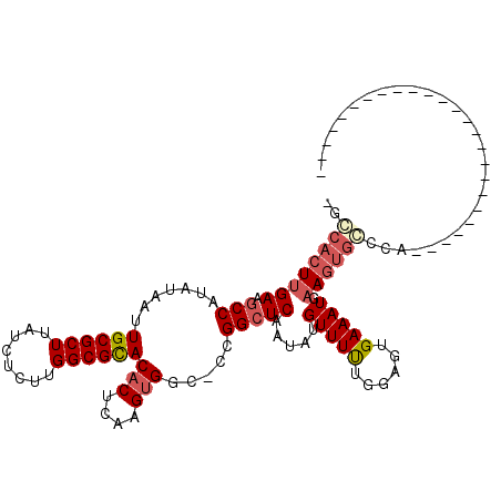secondary structure