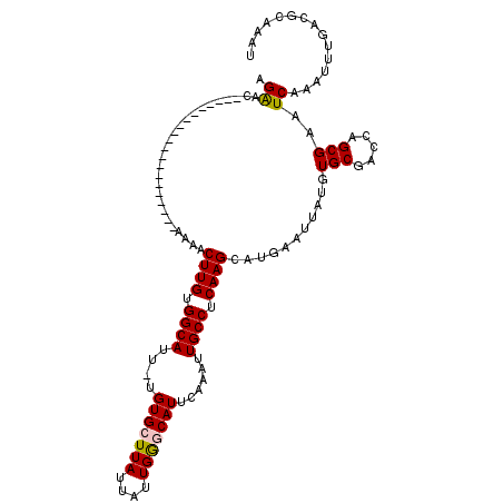 secondary structure