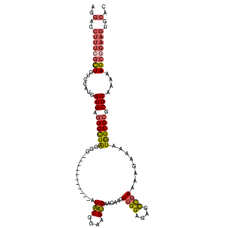 secondary structure