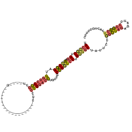 secondary structure