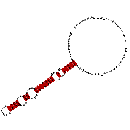 secondary structure