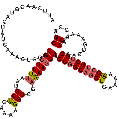 secondary structure