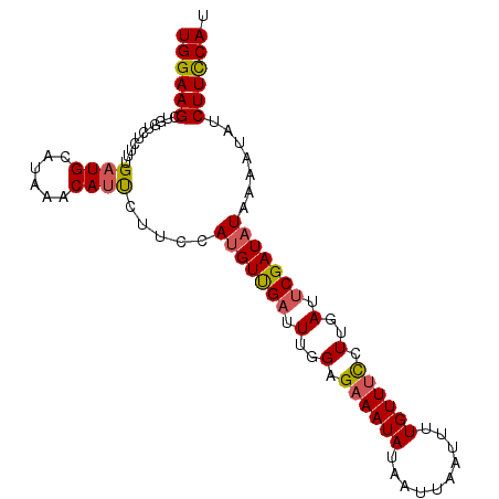 secondary structure