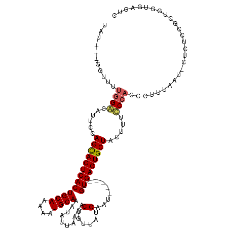 secondary structure