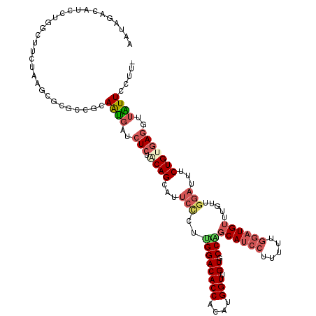 secondary structure