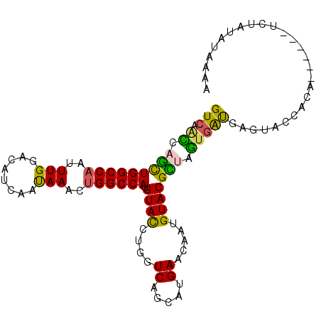 secondary structure
