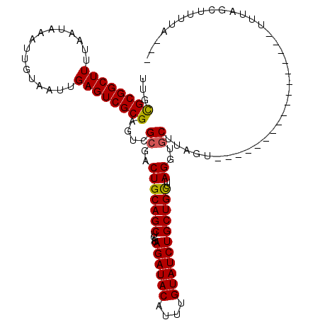 secondary structure