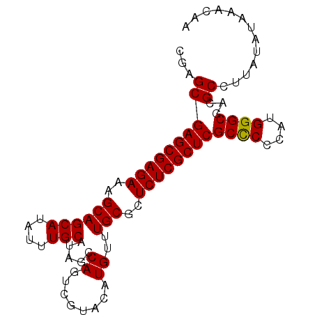 secondary structure