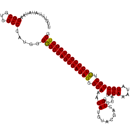 secondary structure