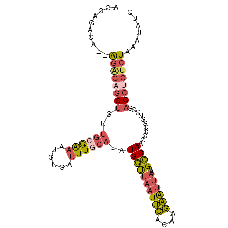 secondary structure