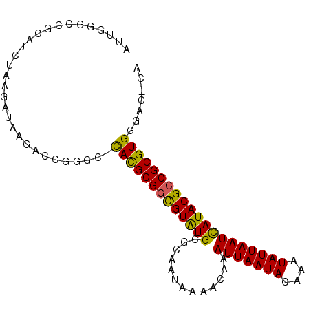 secondary structure