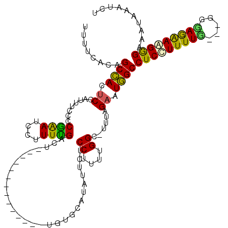 secondary structure