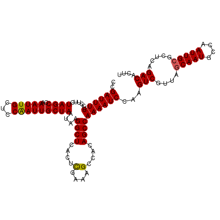 secondary structure