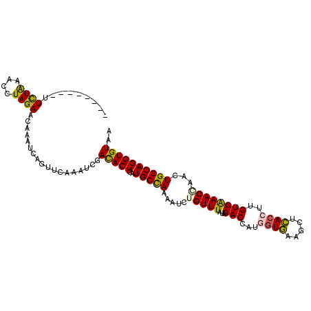 secondary structure