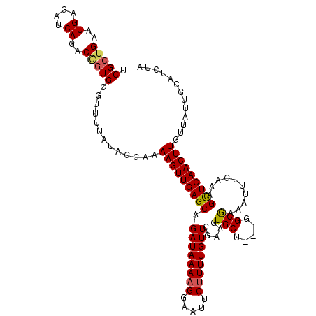 secondary structure