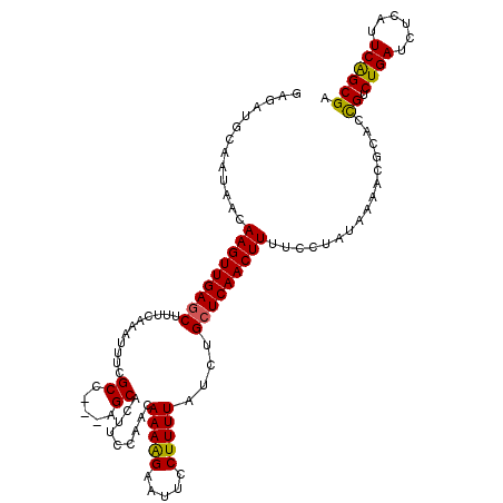 secondary structure