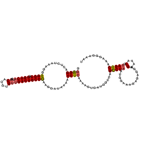 secondary structure