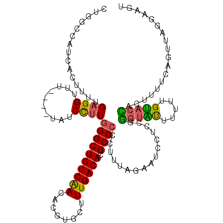 secondary structure