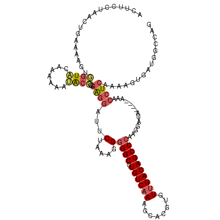 secondary structure
