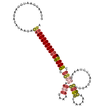 secondary structure