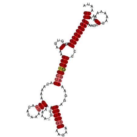 secondary structure