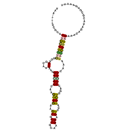 secondary structure