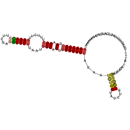 secondary structure