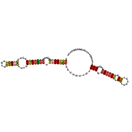 secondary structure