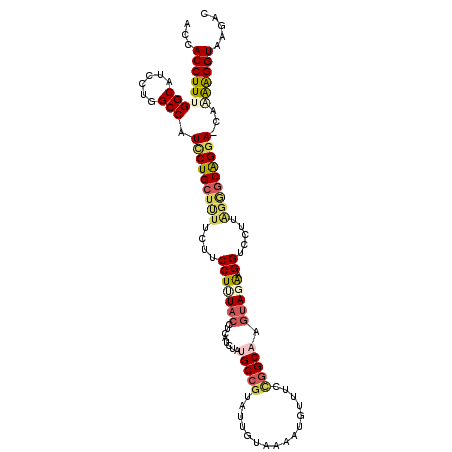 secondary structure