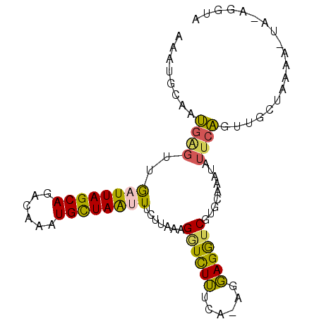 secondary structure