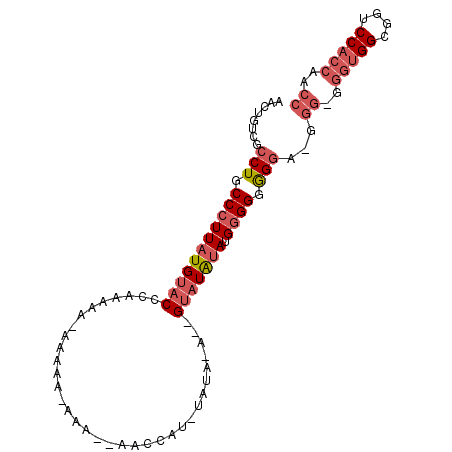 secondary structure