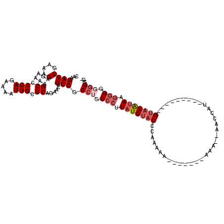 secondary structure