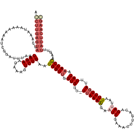 secondary structure