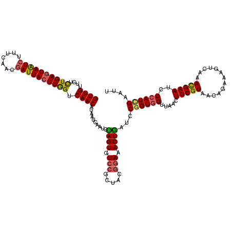 secondary structure