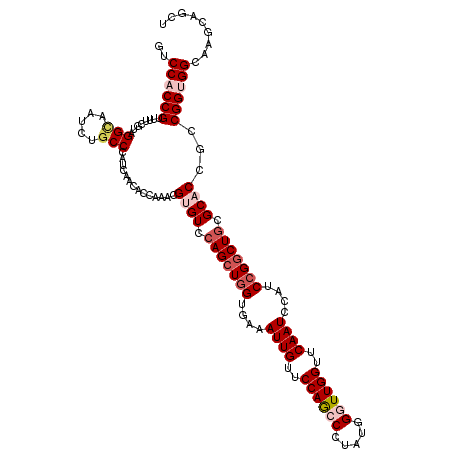 secondary structure