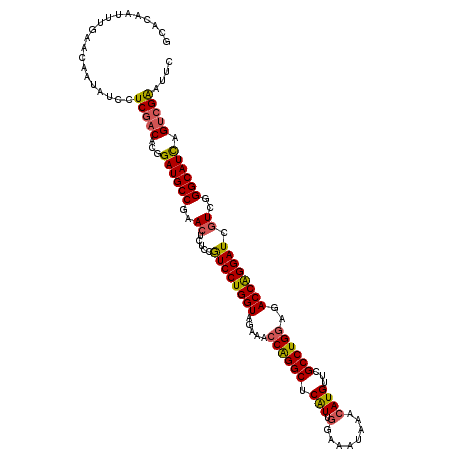 secondary structure