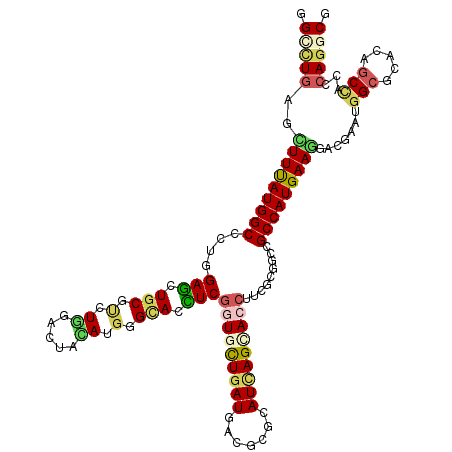 secondary structure