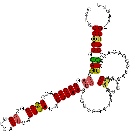 secondary structure