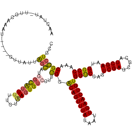 secondary structure