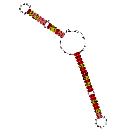 secondary structure