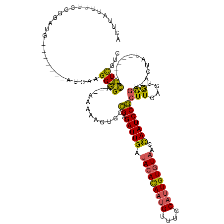 secondary structure