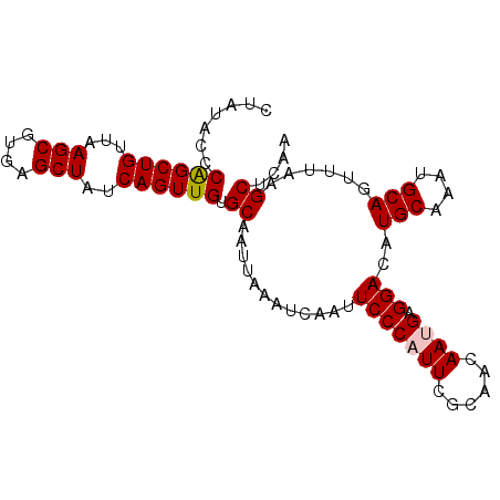 secondary structure