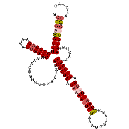 secondary structure