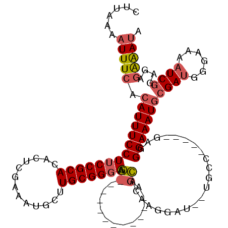 secondary structure