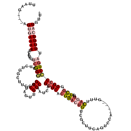 secondary structure