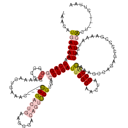 secondary structure