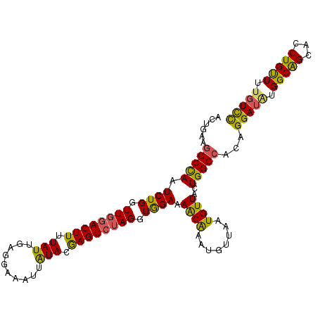 secondary structure