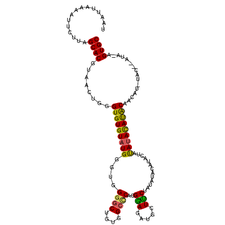 secondary structure