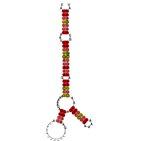 secondary structure