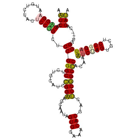 secondary structure